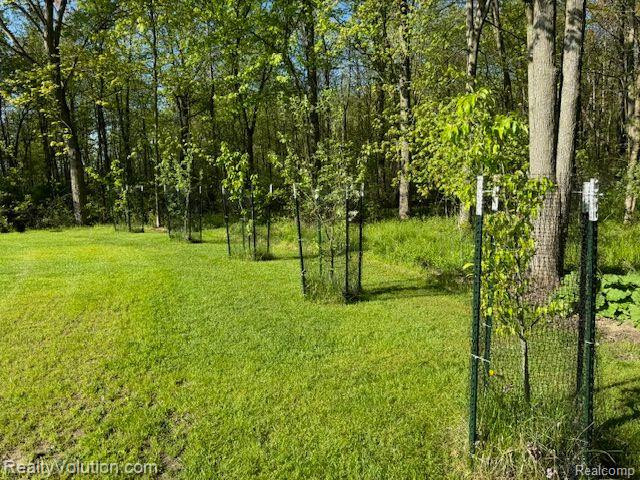 3549 BRICKER Road, Avoca, MI 48006 — Photo 36