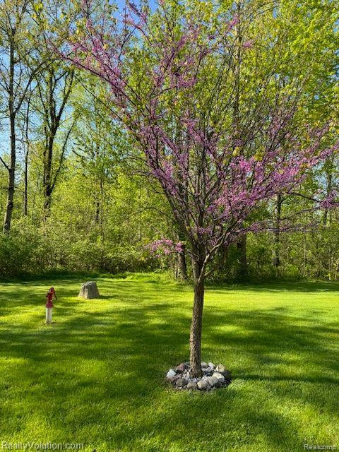 3549 BRICKER Road, Avoca, MI 48006 — Photo 37