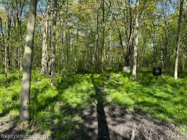 3549 BRICKER Road, Avoca, MI 48006 — Photo 38