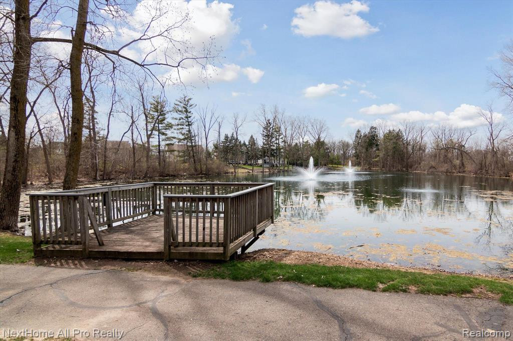 1165 CANTOR Lane, South Lyon, MI 48178 — Photo 52