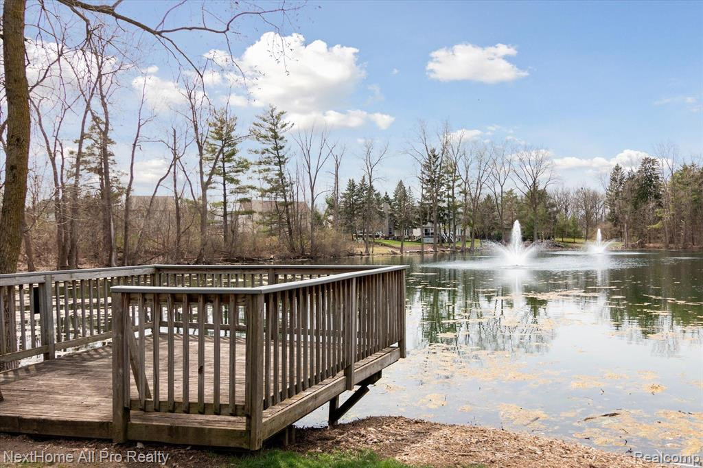 1165 CANTOR Lane, South Lyon, MI 48178 — Photo 53