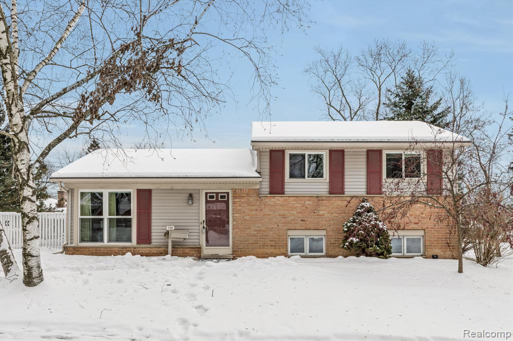 700 THOMAS, Ann Arbor, MI 48103 — Photo 3