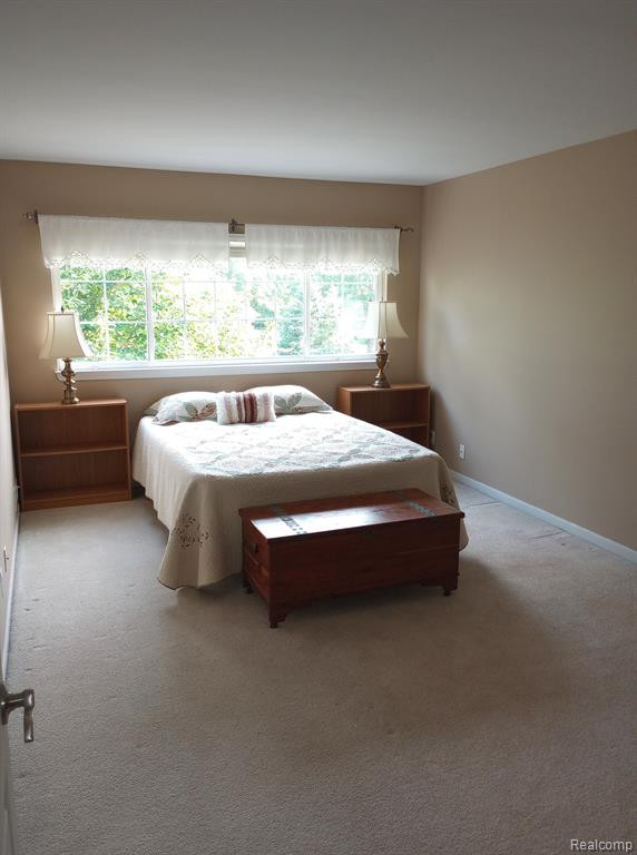 4099 FOREST BRIDGE Drive, Canton, MI 48188 — Photo 11