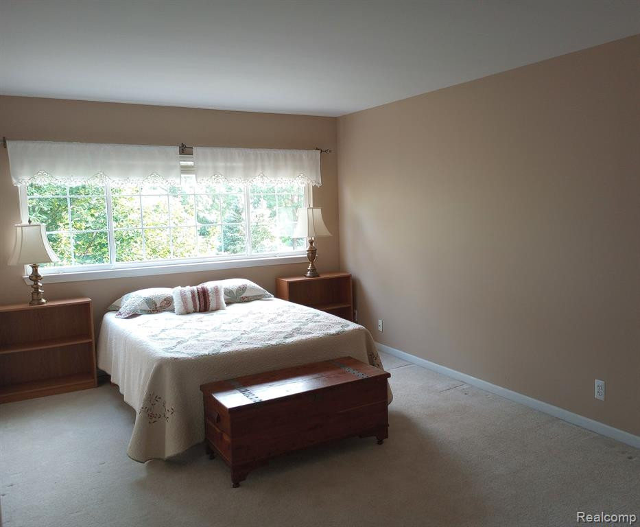 4099 FOREST BRIDGE Drive, Canton, MI 48188 — Photo 12