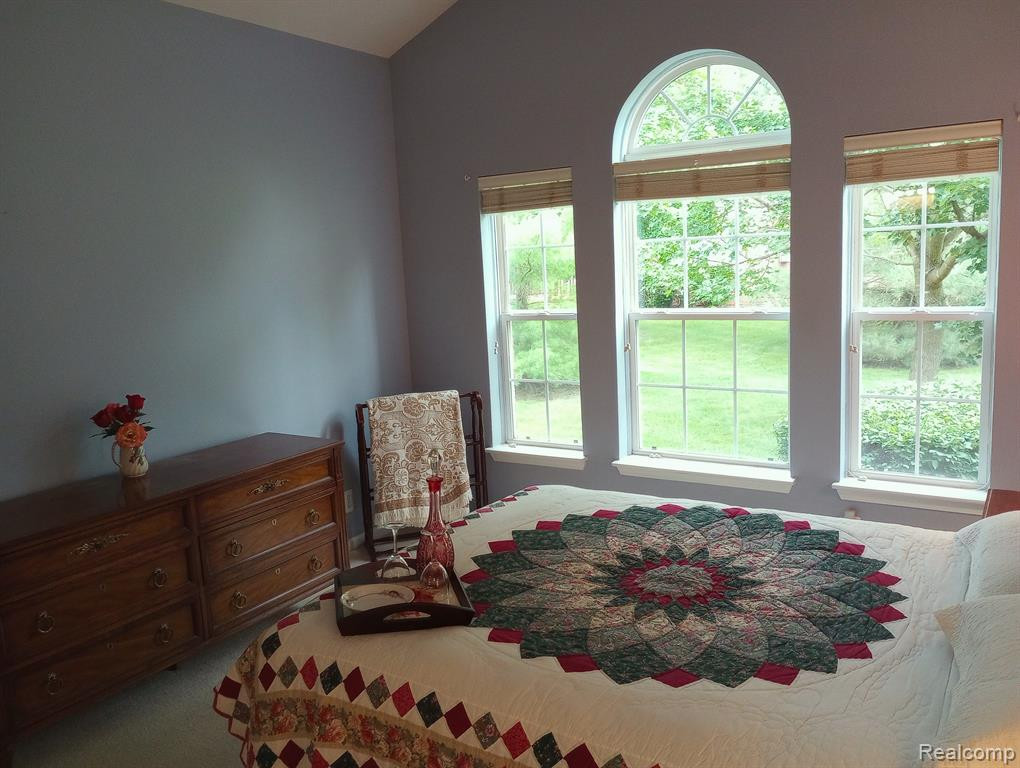 4099 FOREST BRIDGE Drive, Canton, MI 48188 — Photo 17