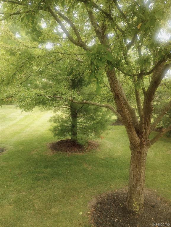 4099 FOREST BRIDGE Drive, Canton, MI 48188 — Photo 23