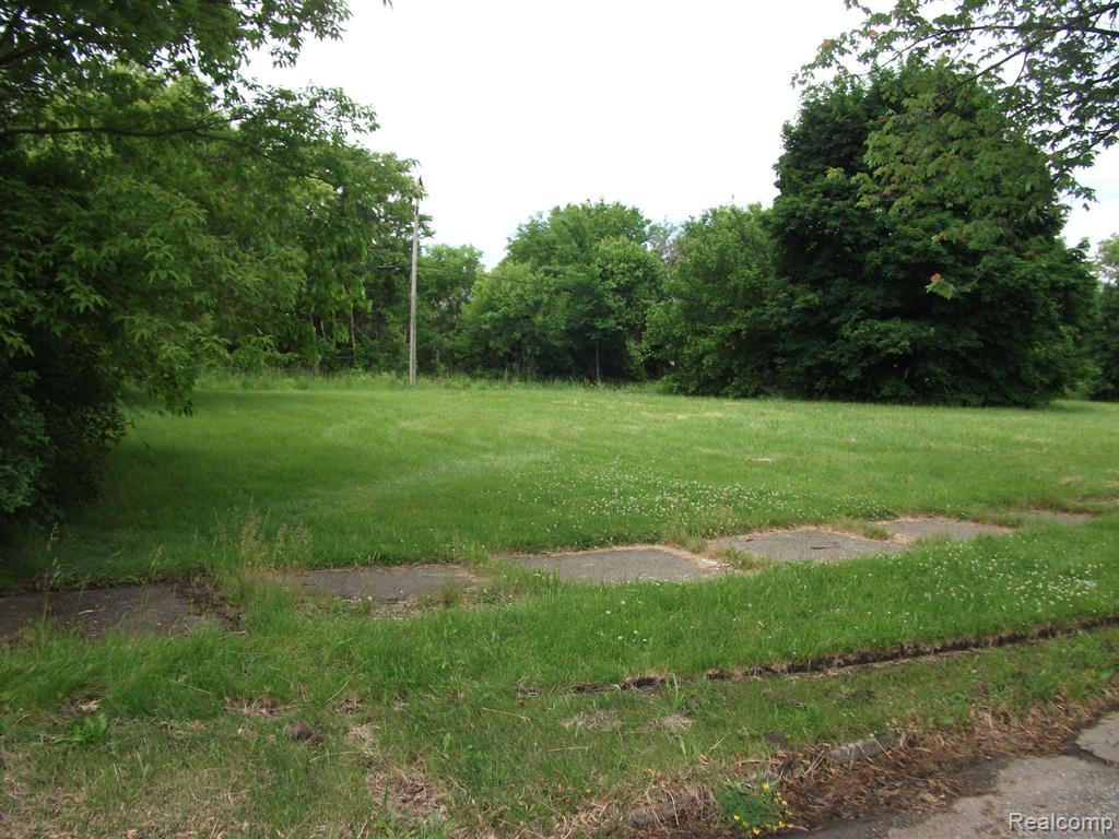 5915 SHERIDAN, Detroit, MI 48213 — Photo 3