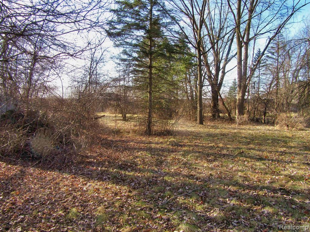 8425 HALLER Street, Westland, MI — Photo 2