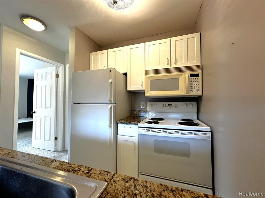 2317 PACKARD Street, B202, Ann Arbor, MI 48104 — Photo 12
