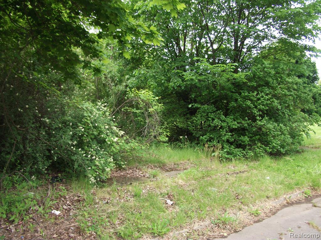 5921 SHERIDAN Street, Detroit, MI 48213