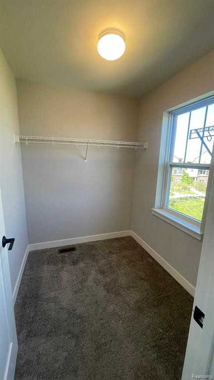 41664 ORIANNA Lane, Novi, MI — Photo 29