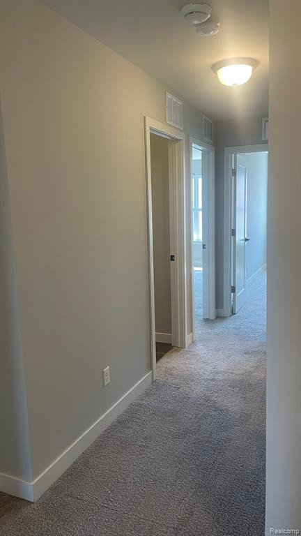 41664 ORIANNA Lane, Novi, MI — Photo 36