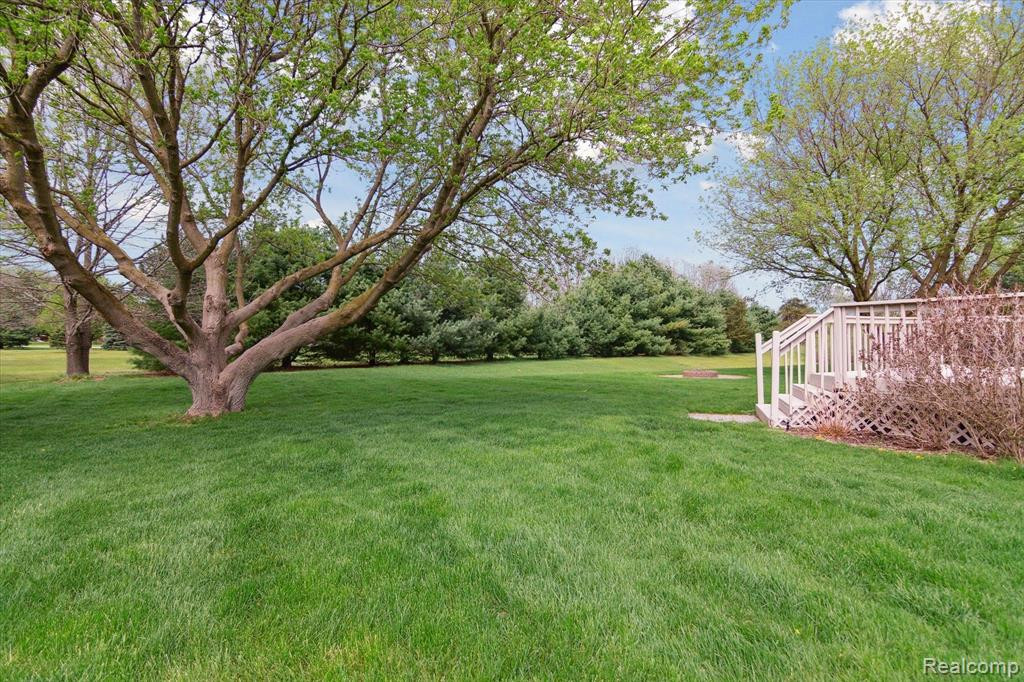 6697 GOLDWIN Drive, Brighton, MI 48116 — Photo 65