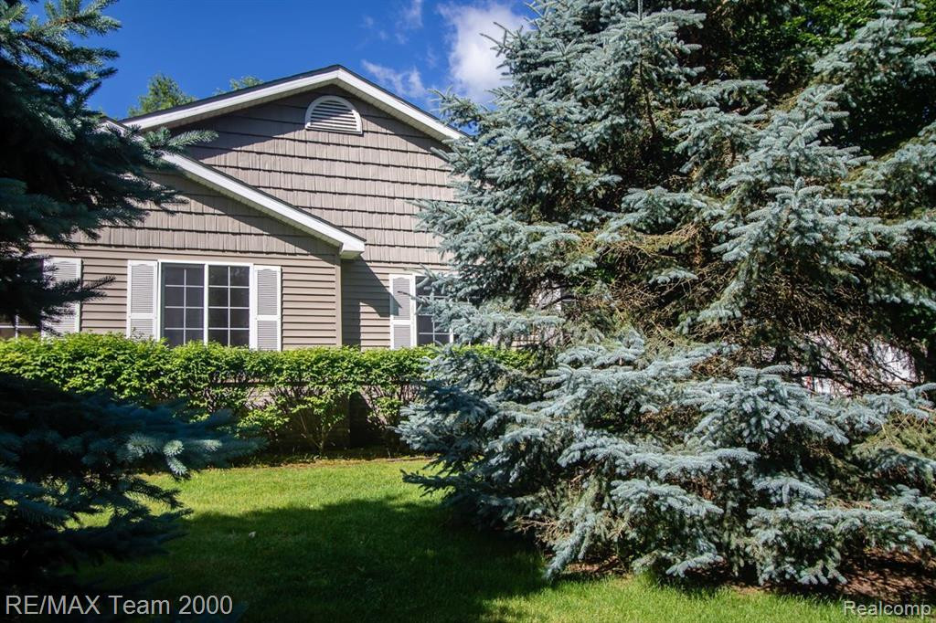 8890 REDSTONE Drive, Pinckney, MI 48169 — Photo 3