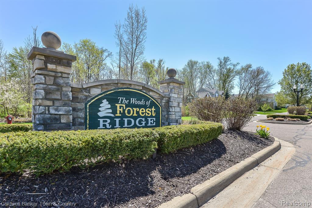 3789 SILVER CHARM Lane, Howell, MI 48843 — Photo 51