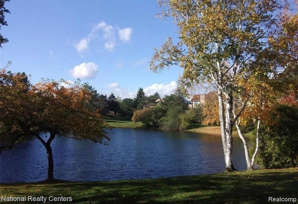 5223 POTOMAC Run N, West Bloomfield, MI — Photo 26