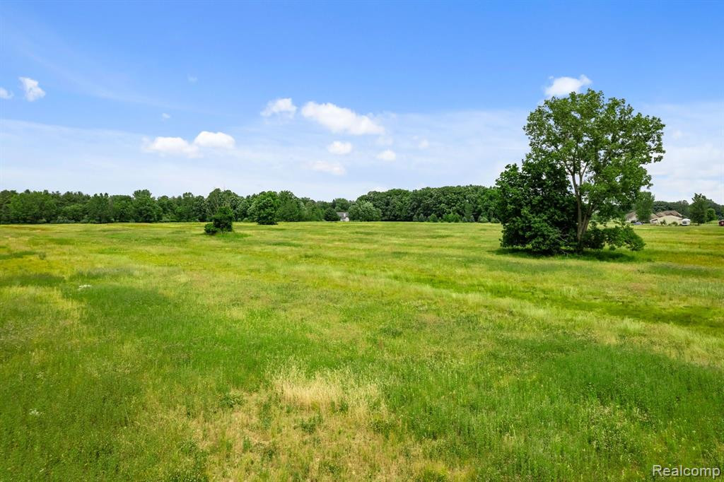 V/L Hough Rd. Hough Rd., Almont, MI 48003 — Photo 10