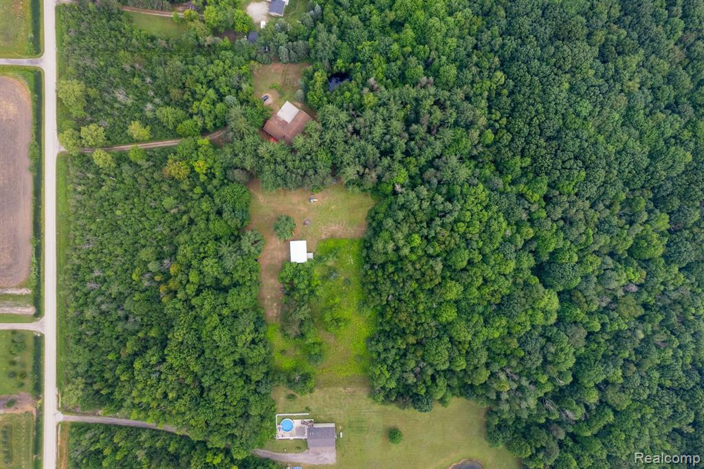 7616 CRIBBINS Road, MI 48032 — Photo 6