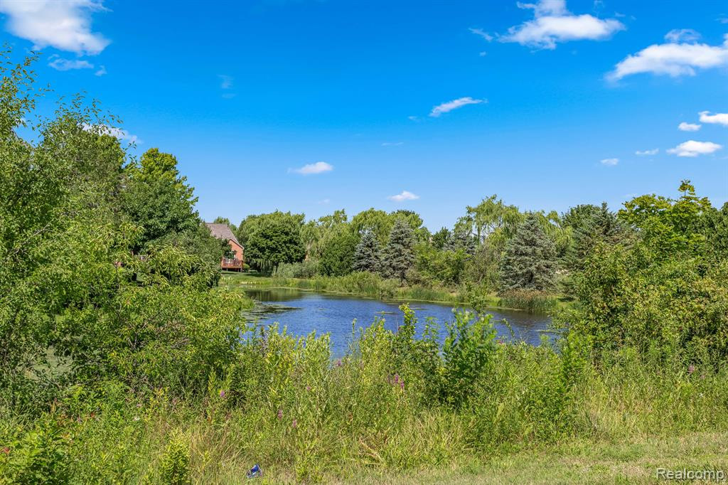 300 CHERRY STONE Drive, Canton, MI 48188 — Photo 27
