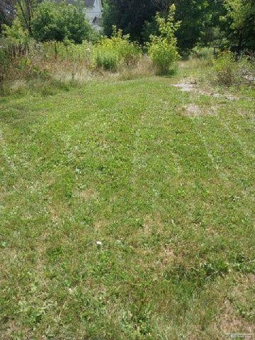 4164 MICHIGAN Avenue, Onaway, MI 49765 — Photo 3
