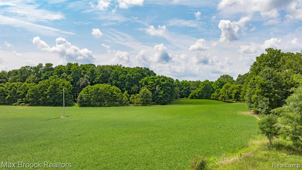6694 FLEMING Road, Fowlerville, MI 48836 — Photo 3