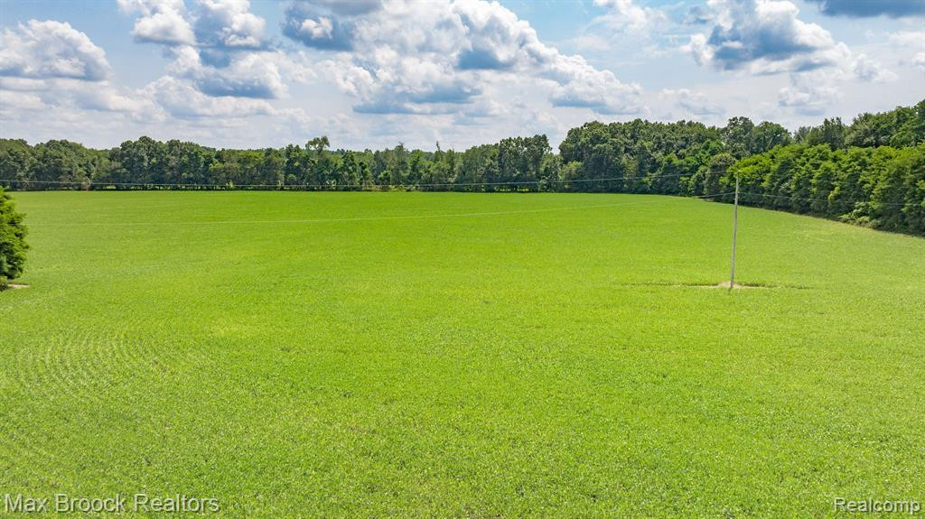 6694 FLEMING Road, Fowlerville, MI 48836 — Photo 4