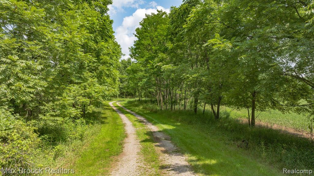 6694 FLEMING Road, Fowlerville, MI 48836 — Photo 34