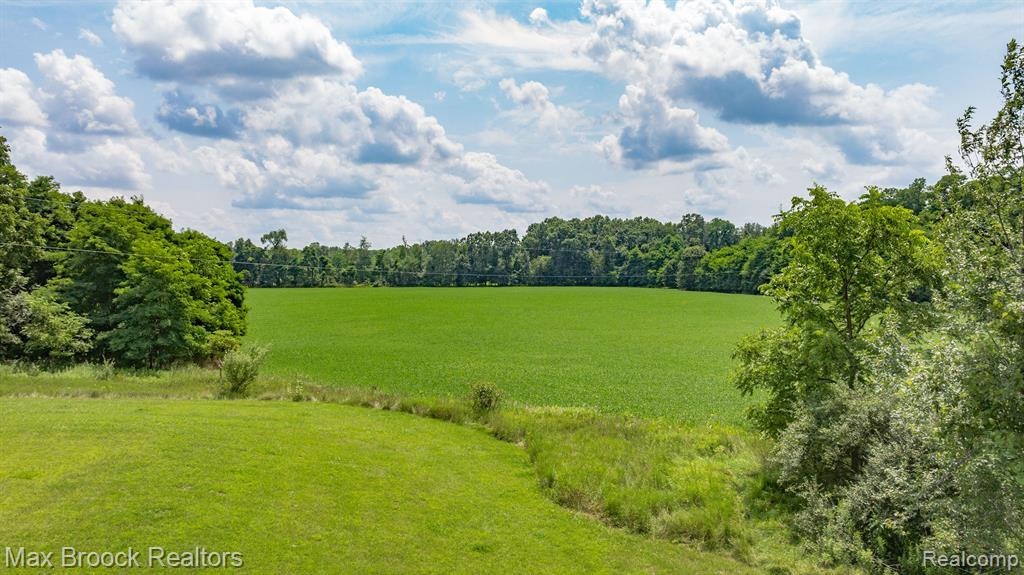 6694 FLEMING Road, Fowlerville, MI 48836 — Photo 36