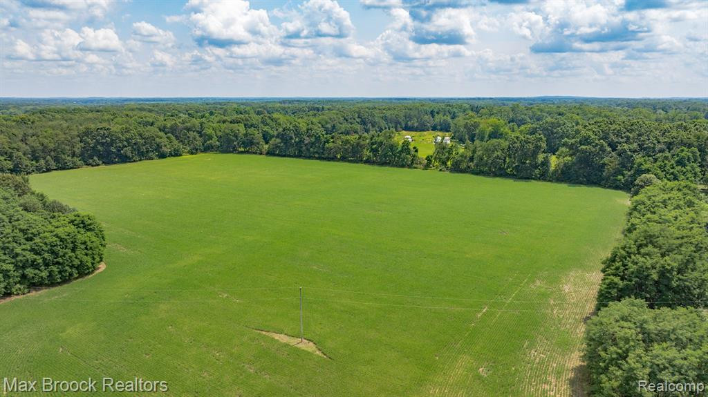6694 FLEMING Road, Fowlerville, MI 48836 — Photo 39