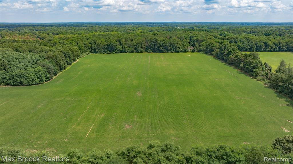 6694 FLEMING Road, Fowlerville, MI 48836 — Photo 40