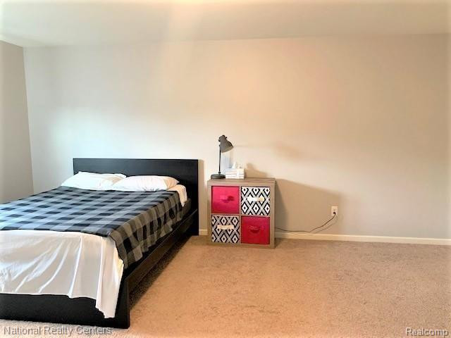 59617 TWIN PINES Drive, New Hudson, MI 48165 — Photo 10
