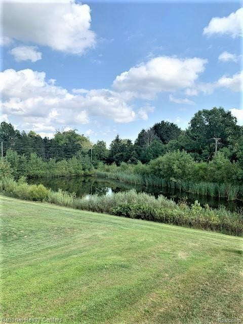 59617 TWIN PINES Drive, New Hudson, MI 48165 — Photo 17