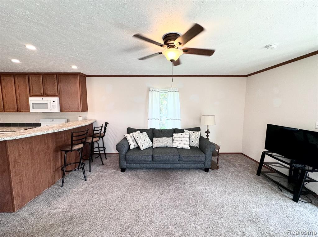 400 W Grand River Ave Lot 75, Webberville, MI 48892 — Photo 7