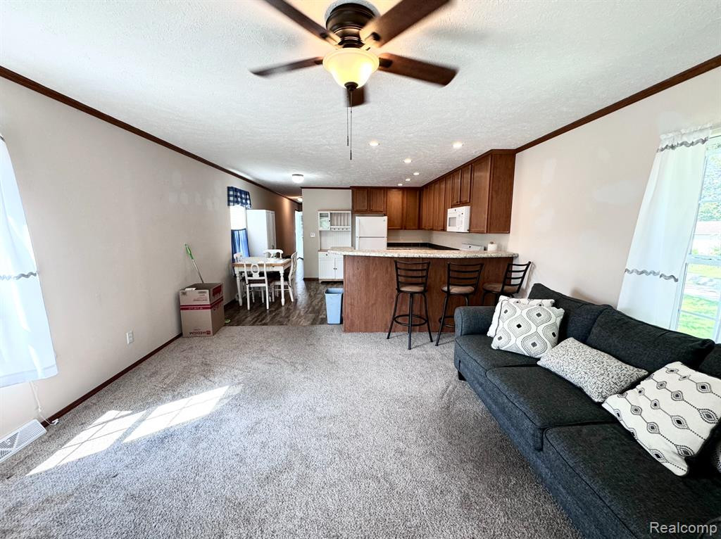 400 W Grand River Ave Lot 75, Webberville, MI 48892 — Photo 8
