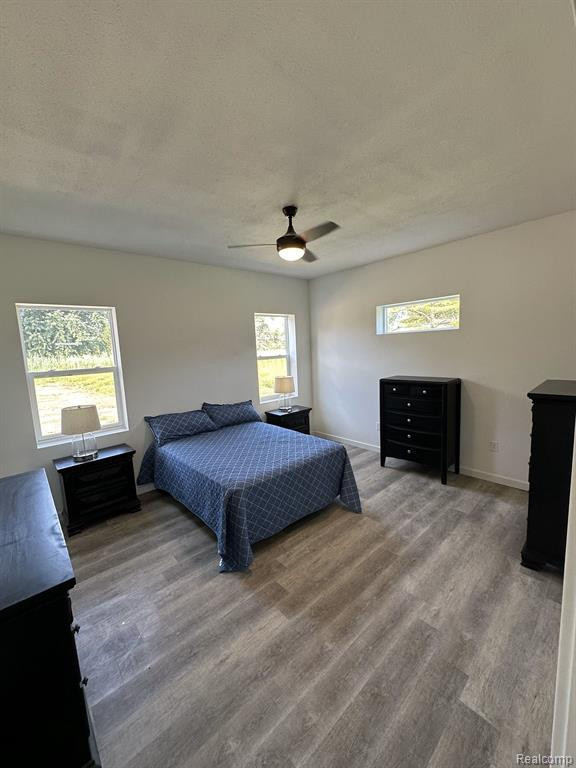 41063 WILLOW Road, New Boston, MI 48164 — Photo 10