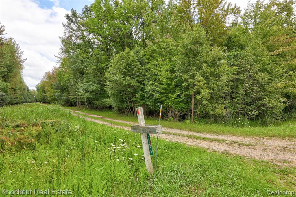 5784 ORMES Road, Vassar, MI 48768 — Photo 51