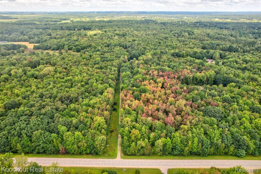 5784 ORMES Road, Vassar, MI 48768 — Photo 53