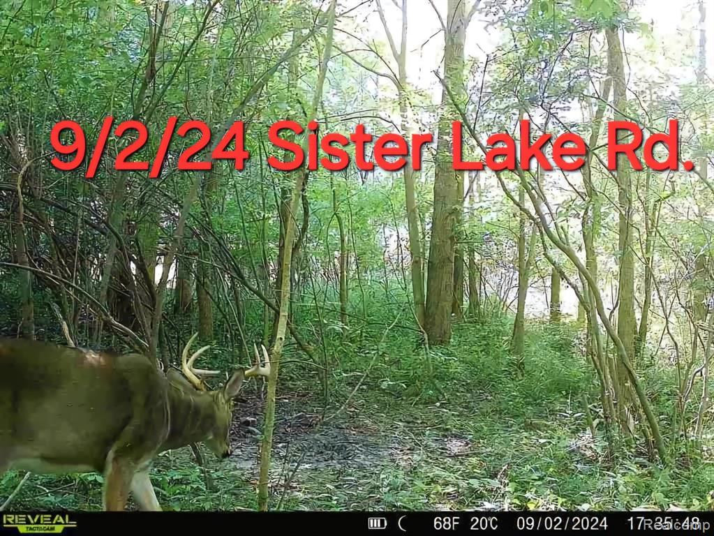 VL SISTER LAKE Road, Columbiaville, MI 48421 — front exterior