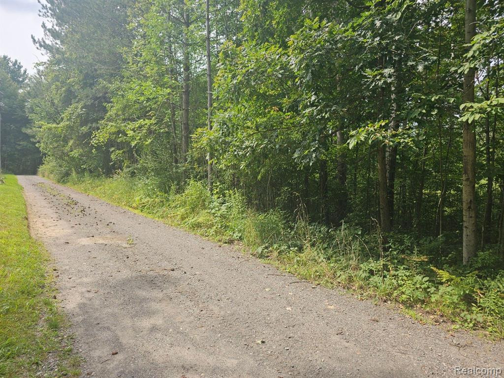 VL SISTER LAKE Road, Columbiaville, MI 48421 — Photo 2