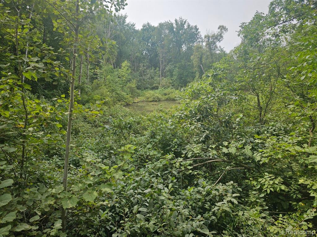 VL SISTER LAKE Road, Columbiaville, MI 48421 — Photo 3