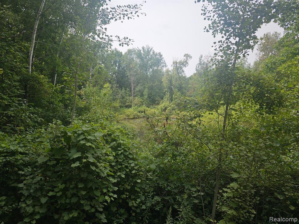 VL SISTER LAKE Road, Columbiaville, MI 48421 — Photo 4