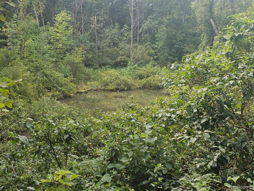 VL SISTER LAKE Road, Columbiaville, MI 48421 — Photo 5