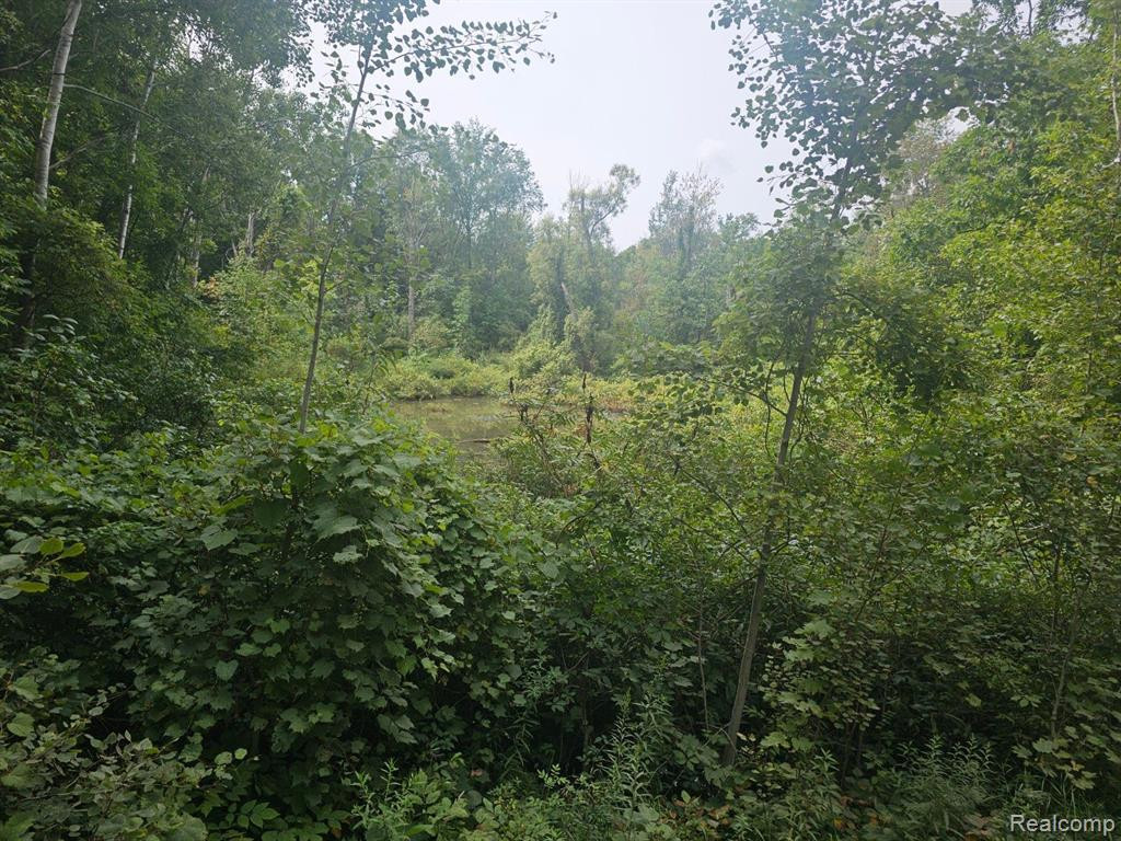 VL SISTER LAKE Road, Columbiaville, MI 48421 — Photo 6