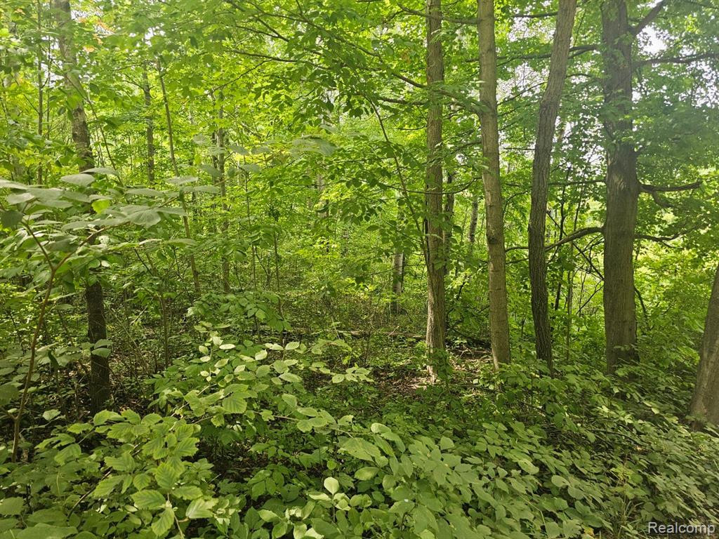 VL SISTER LAKE Road, Columbiaville, MI 48421 — Photo 7
