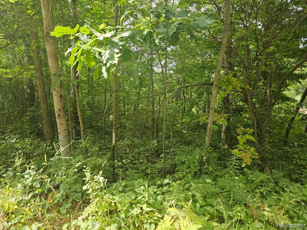 VL SISTER LAKE Road, Columbiaville, MI 48421 — Photo 8