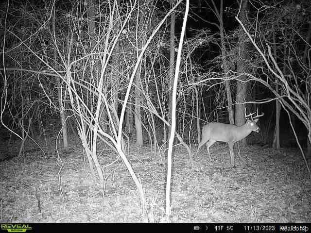 VL SISTER LAKE Road, Columbiaville, MI 48421 — Photo 10