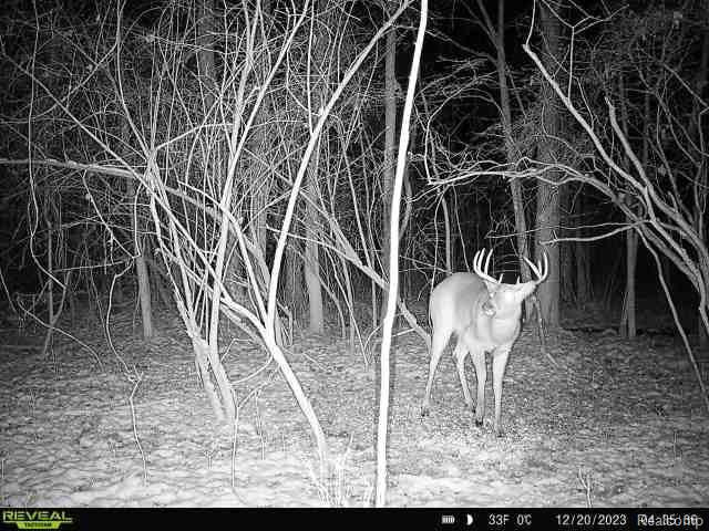 VL SISTER LAKE Road, Columbiaville, MI 48421 — Photo 11