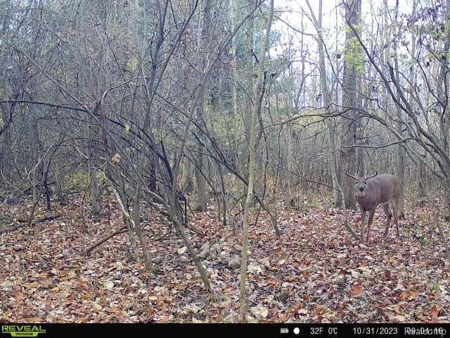 VL SISTER LAKE Road, Columbiaville, MI 48421 — Photo 12
