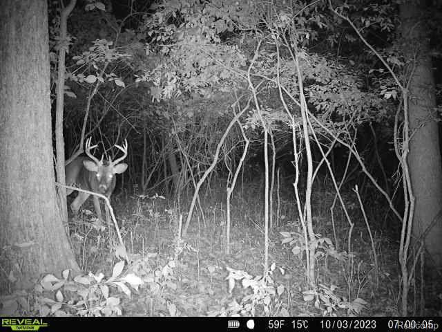 VL SISTER LAKE Road, Columbiaville, MI 48421 — Photo 13