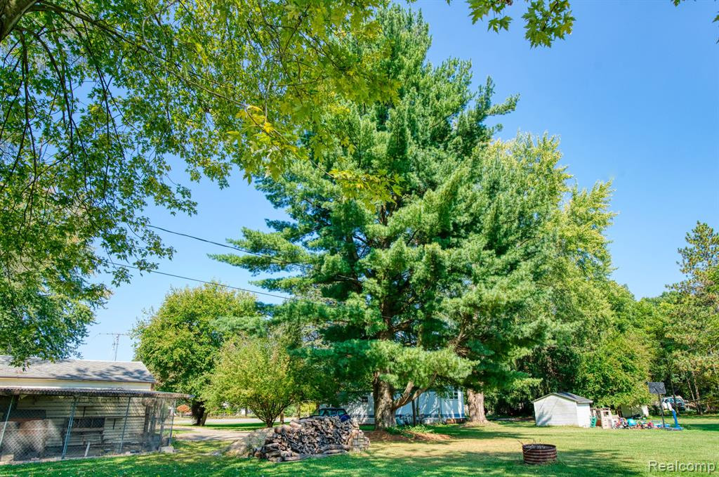 15337 KATHRYN, Pinckney, MI 48169 — Photo 29